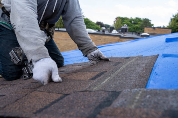 Gutter Installation and Roofing in Altoona, AL