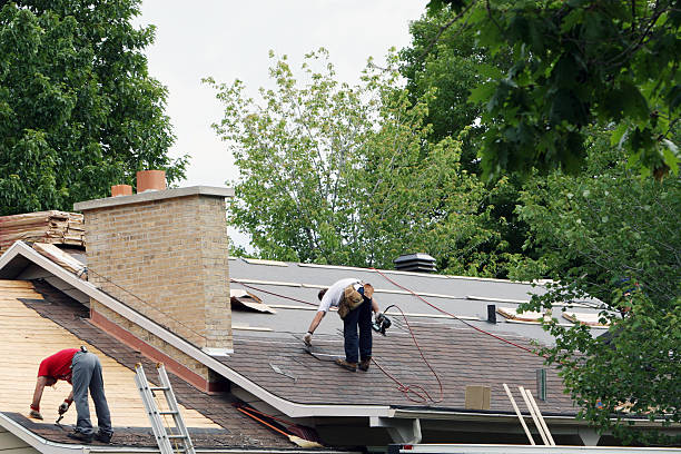 Best Roof Gutter Cleaning  in Toona, AL