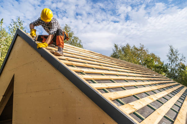 Best Storm Damage Roof Repair  in Toona, AL
